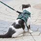 Hot Sale 49% OFF🔥Pet Leash Anti-break Away Chest Strap Vest Harness