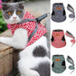 Hot Sale 49% OFF🔥Pet Leash Anti-break Away Chest Strap Vest Harness