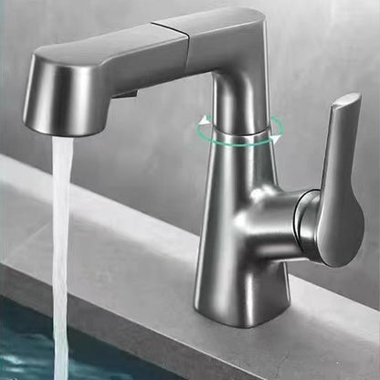 1 Hole Bathroom Faucet with Pull out Sprayer