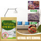 ⏳ OSTATNI DZIEŃ WYPRZEDAŻY TYLKO!! 🌿🛡️ Naturalna saszetka do zwalczania roztoczy #1 – zatwierdzona przez alergologów • 100% bez chemii • Bezpieczna dla niemowląt, zwierząt i astmatyków🛏️✨