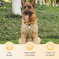 🐶 50% TANIEJ! 🛡️ Szelki przeciwciągowe dla psa + smycz i obroża LED – bezpieczne, wygodne i widoczne! ✨