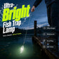🎁 Kup 1, dostań 1 gratis! Ultrajaśna lampa do połowów – więcej światła, więcej ryb, więcej wyników! 💡🐟✅