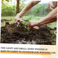 ⏰ 50% TANIEJ! 🌿 Narzędzie do usuwania chwastów – 30K+ sprzedanych! Wykopuj, spulchniaj i przesadzaj bez wysiłku! 🔧💪