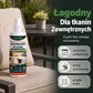 🎁 Kup 1 – drugie gratis! 🧴 Spray do usuwania pleśni z poduszek tarasowych – działa błyskawicznie i bez szorowania! 🌿✨