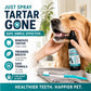🎁 Kup 1 – drugie gratis! 🦷 Spray do czyszczenia zębów dla zwierząt – usuwa kamień i płytkę nazębną, wspiera codzienną higienę jamy ustnej! 🐶🐱✨