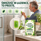 🧪 TERAZ -50%! 6 sztuk platek oczyszczających z pleśni – roślinne płatki usuwające pleśń, długotrwały środek hamujący jej rozwój do łazienek, kuchni, narożników ścian i wilgotnych, ukrytych miejsc